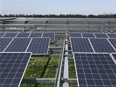 北京亦莊綠得金種養殖有限公司50MWp分布式光伏電站工程